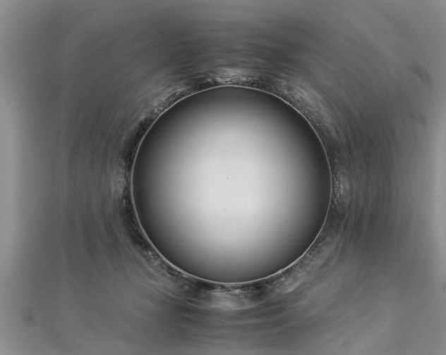 X0000112870367200908281630