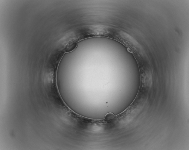 X0000112870368200908281630