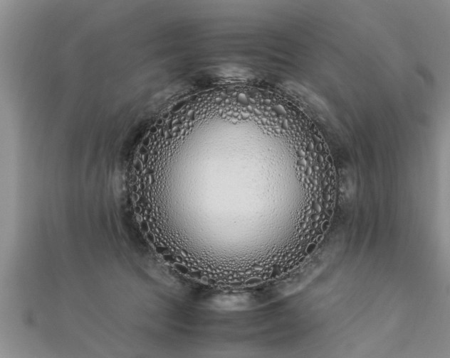 X0000112870369200908281630