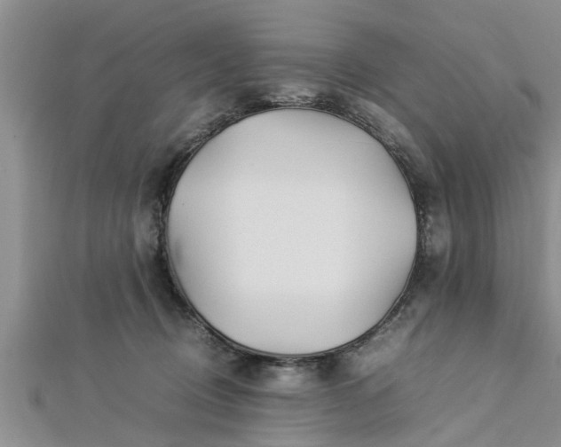 X0000112870370200908281630