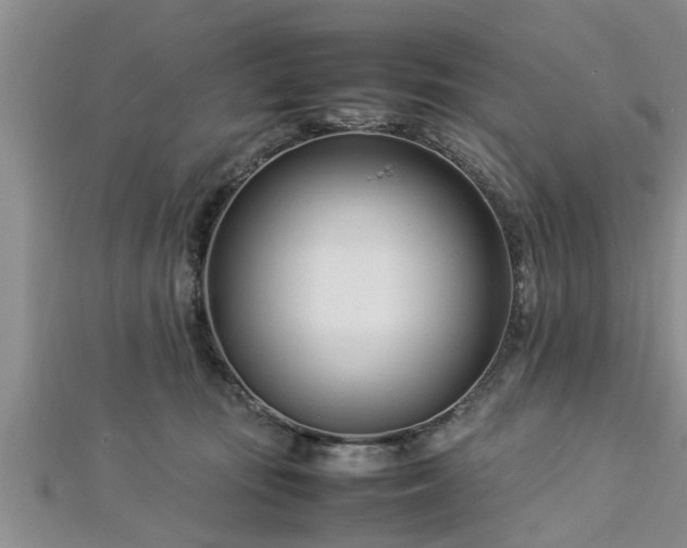 X0000112870371200908281630