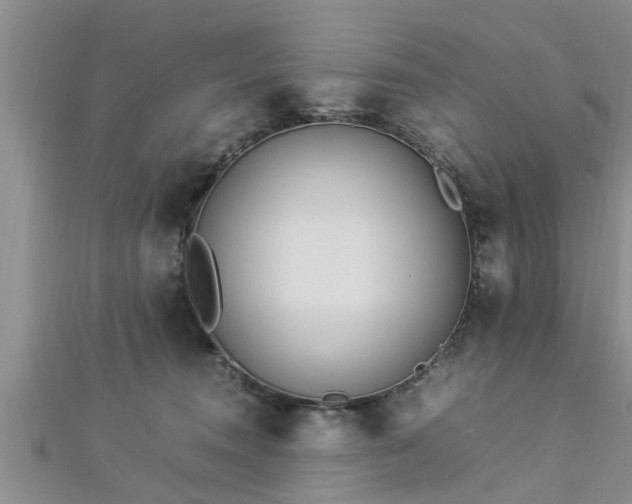 X0000112870372200908281630