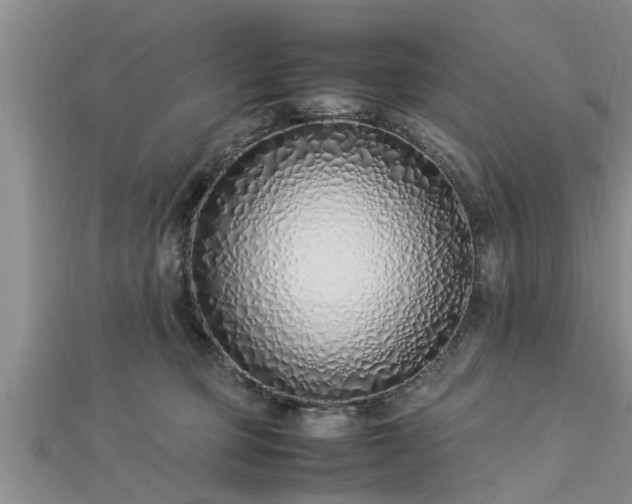 X0000112870373200908281630