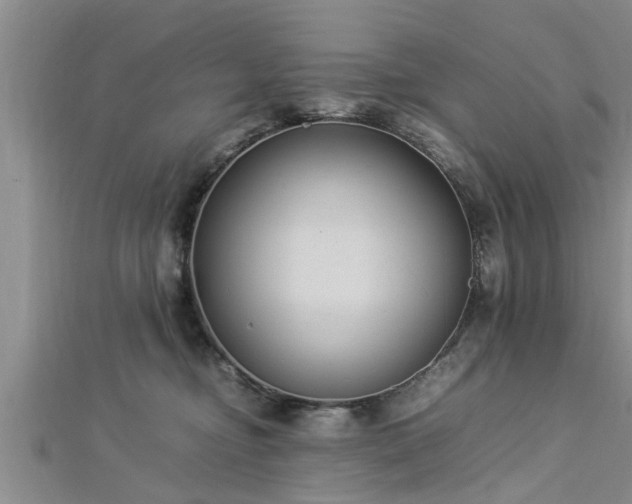 X0000112870374200908281630