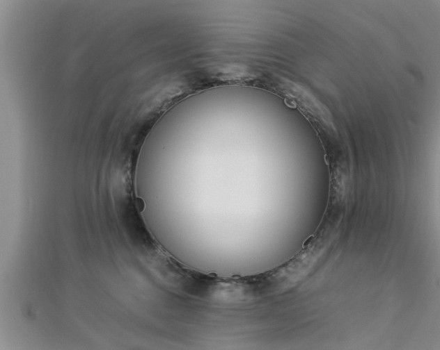 X0000112870376200908281630