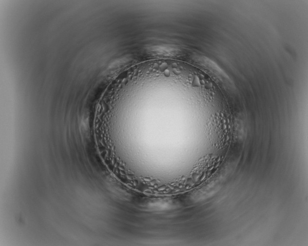 X0000112870377200908281630