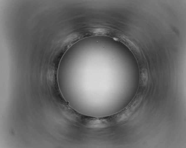 X0000112870379200908281630