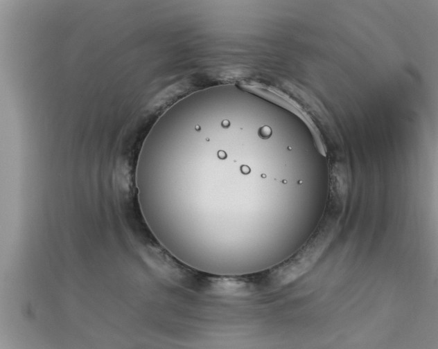 X0000112870380200908281630