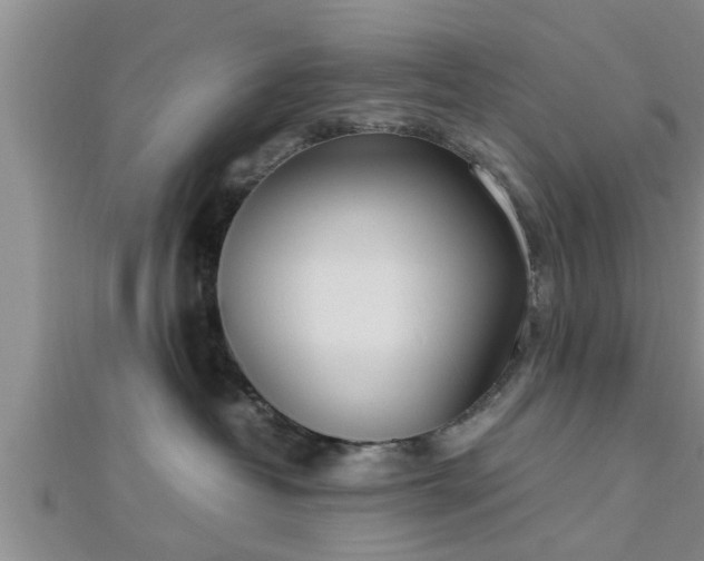 X0000112870382200908281630