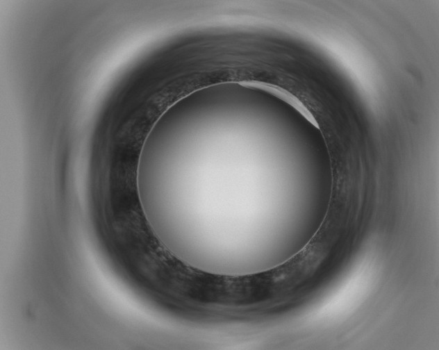 X0000112870383200908281630