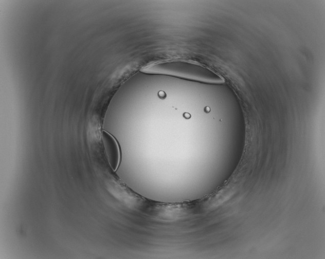 X0000112870384200908281630