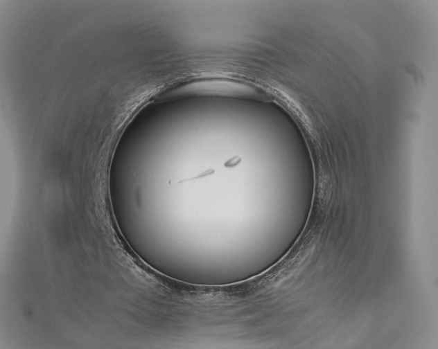 X0000112870385200908281629