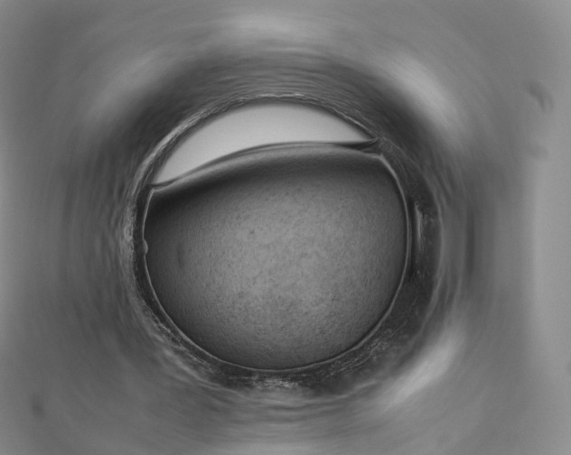 X0000112870387200908281629