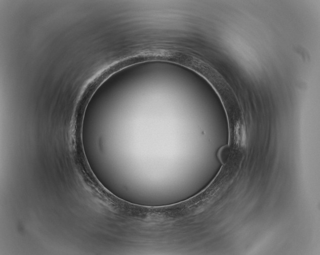 X0000112870388200908281629