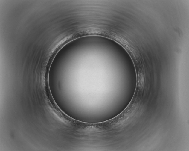 X0000112870390200908281629