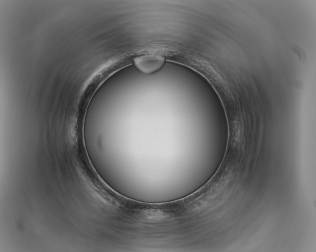 X0000112870392200908281629