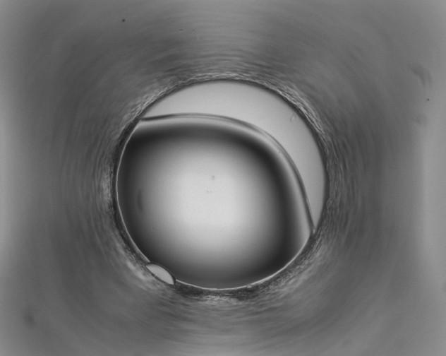 X0000112870393200908281629