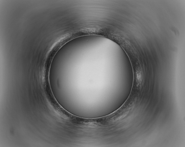 X0000112870396200908281629