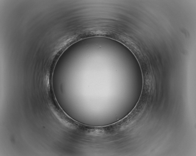 X0000112870398200908281629