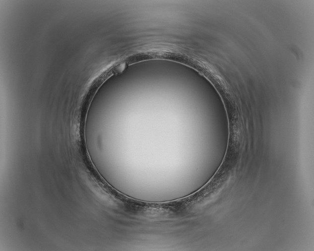 X0000112870399200908281629