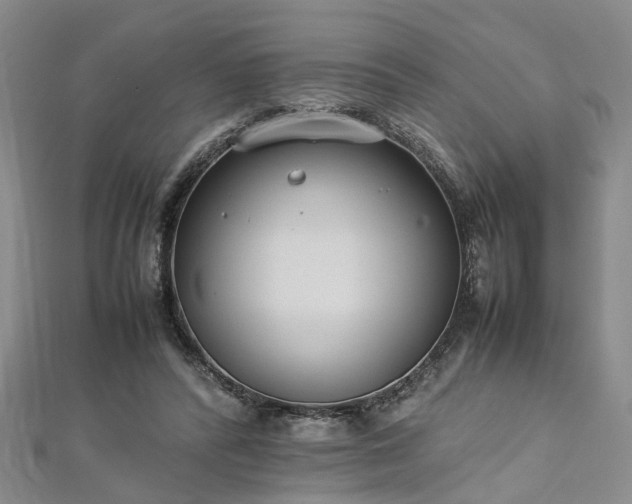 X0000112870400200908281629