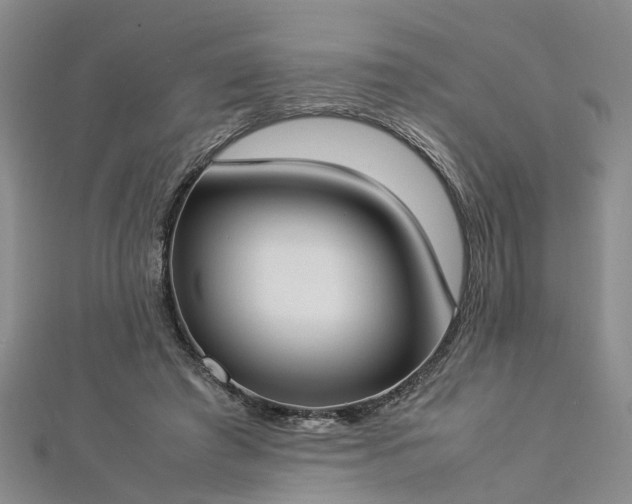 X0000112870401200908281629