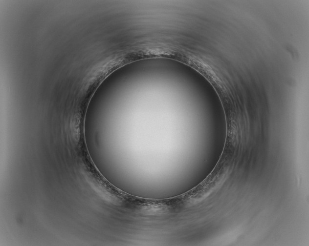 X0000112870402200908281629