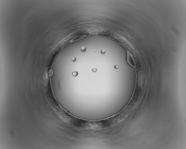 X0000112870405200908281629