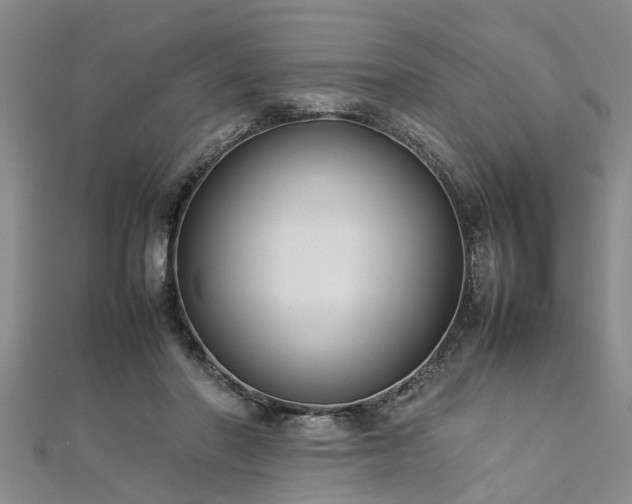 X0000112870406200908281629