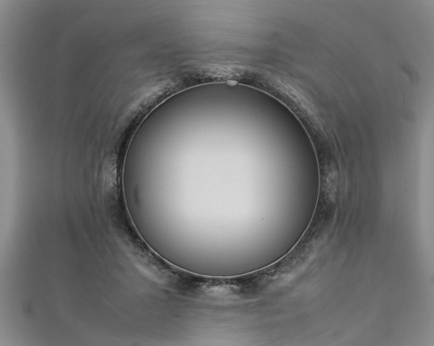 X0000112870407200908281629