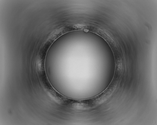 X0000112870408200908281629