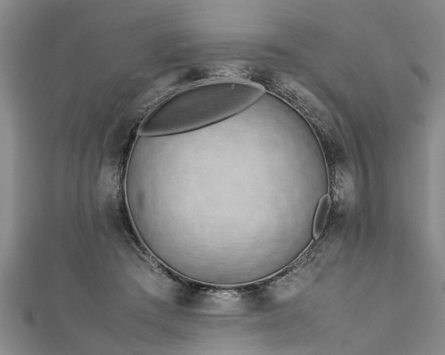 X0000112870409200908281629