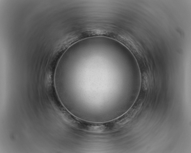 X0000112870410200908281629