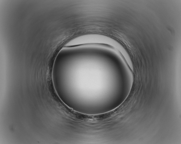 X0000112870411200908281629