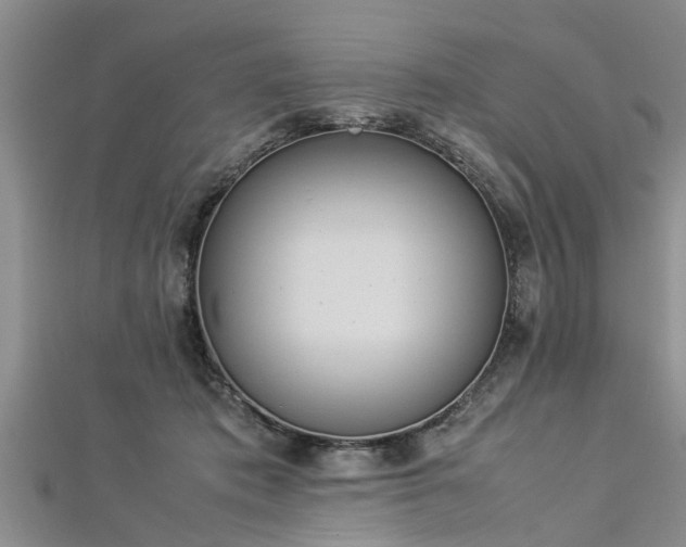 X0000112870413200908281629