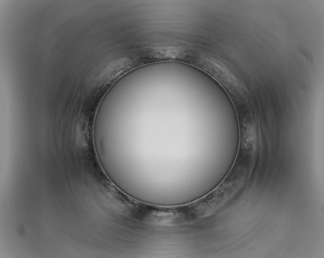 X0000112870414200908281629