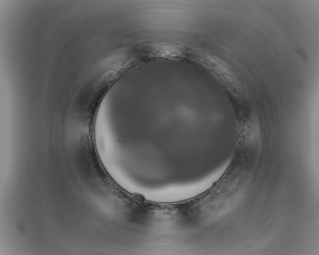 X0000112870415200908281629