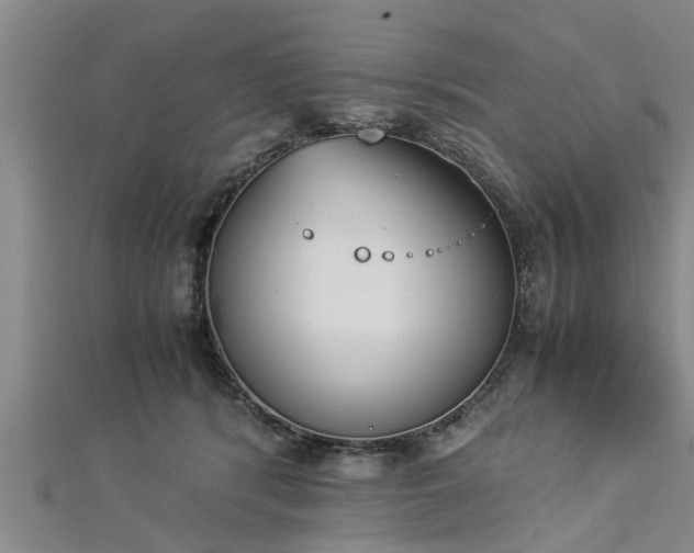 X0000112870416200908281629