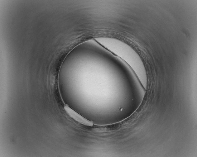 X0000112870417200908281629