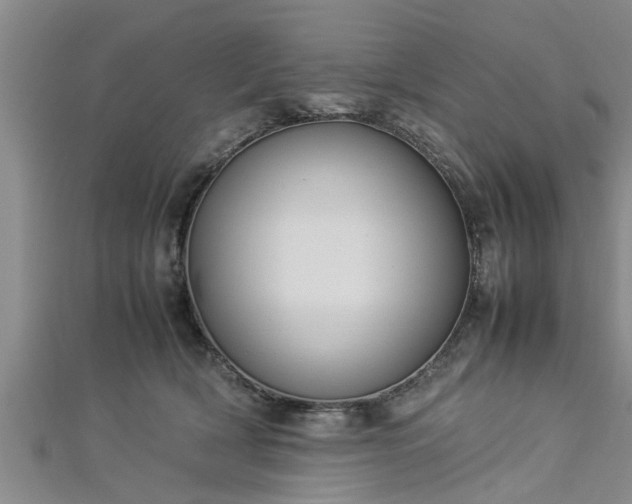 X0000112870418200908281629