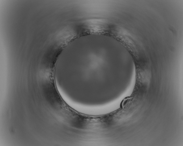 X0000112870419200908281629