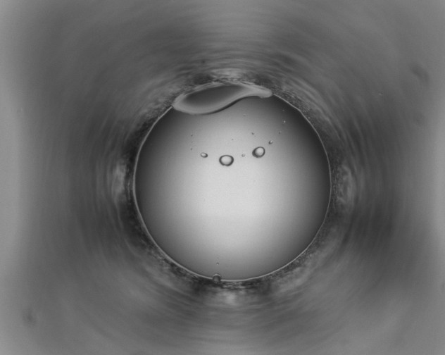 X0000112870420200908281629