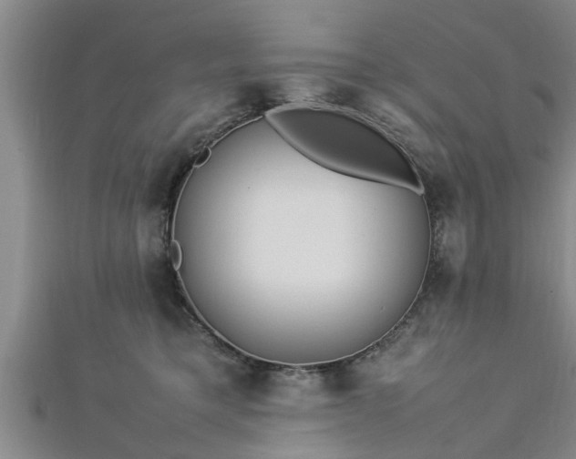 X0000112870421200908281629