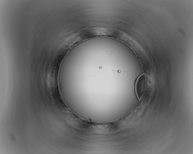 X0000112870422200908281629