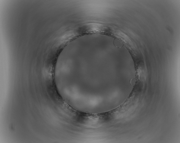 X0000112870423200908281629