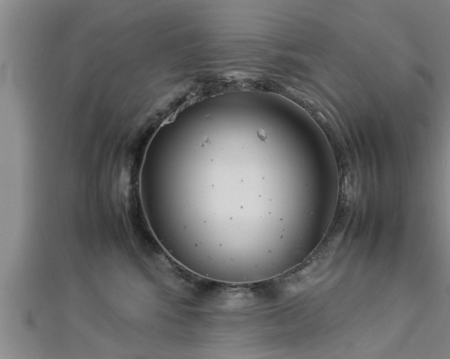 X0000112870424200908281629