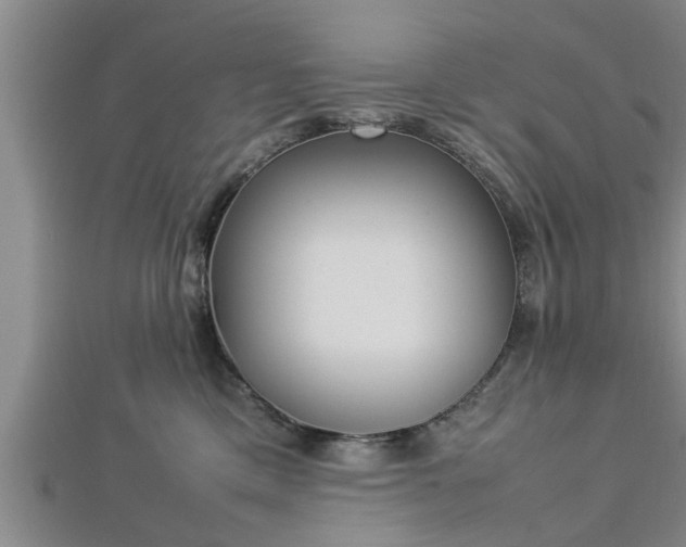 X0000112870425200908281629