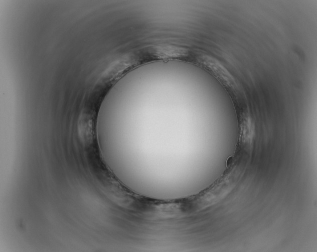 X0000112870426200908281629