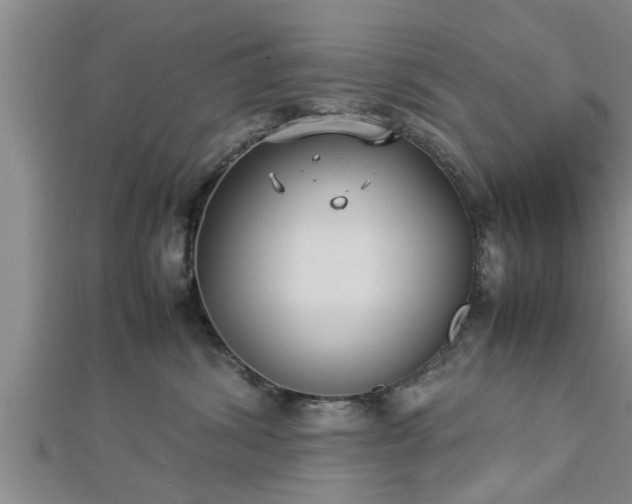 X0000112870428200908281629