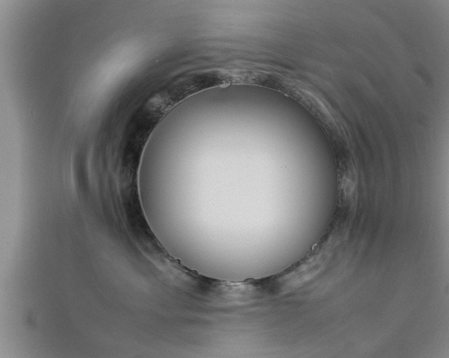 X0000112870429200908281629